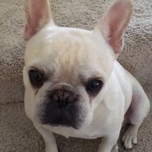 Meet your Posher, Nancy